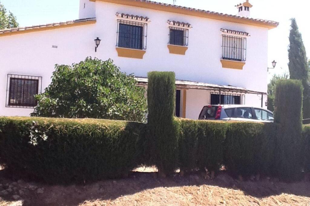 Finca Los Abetos Villa Villanueva del Rosario Kültér fotó