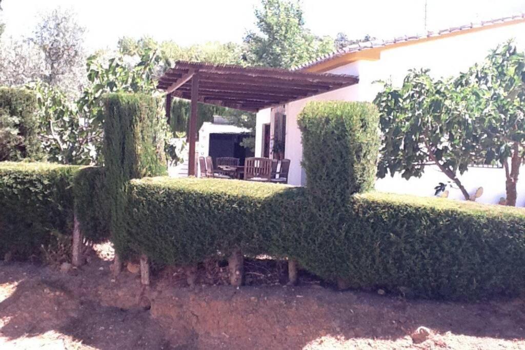 Finca Los Abetos Villa Villanueva del Rosario Kültér fotó